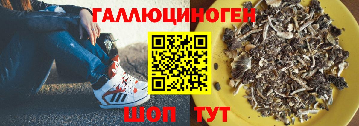 Псилоцибиновые грибы GOLDEN TEACHER Чапаевск